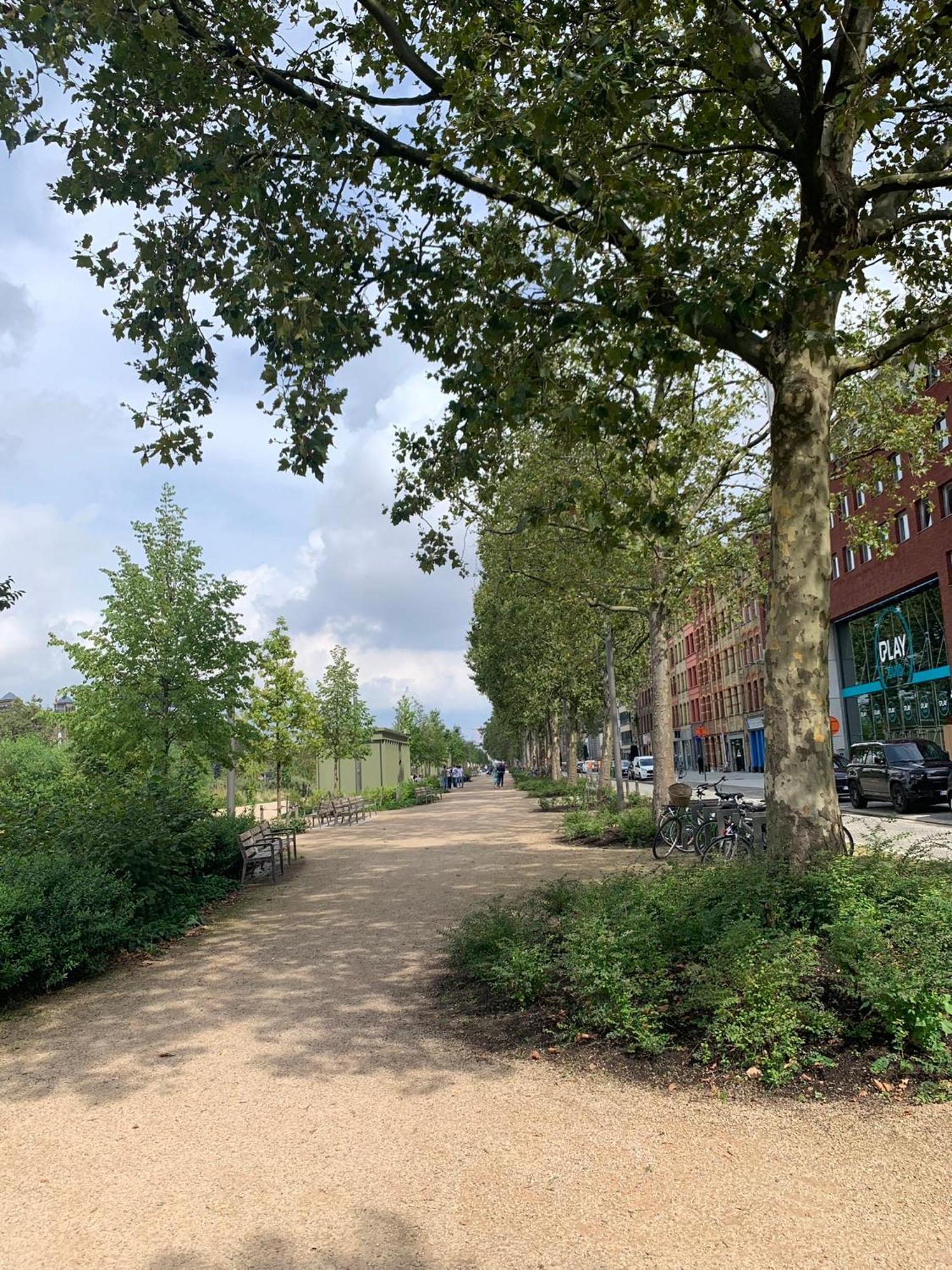 Royal South - Apartment Antwerp With Parkview Exteriör bild